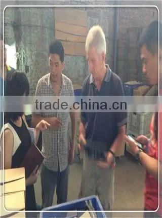 Hydraulic Power and Low Pressure Pressure Hand Water Pump