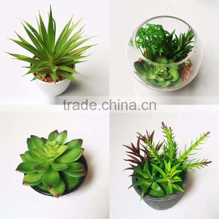 Real touch mini artificial succulent plant bonsai with pot for decor