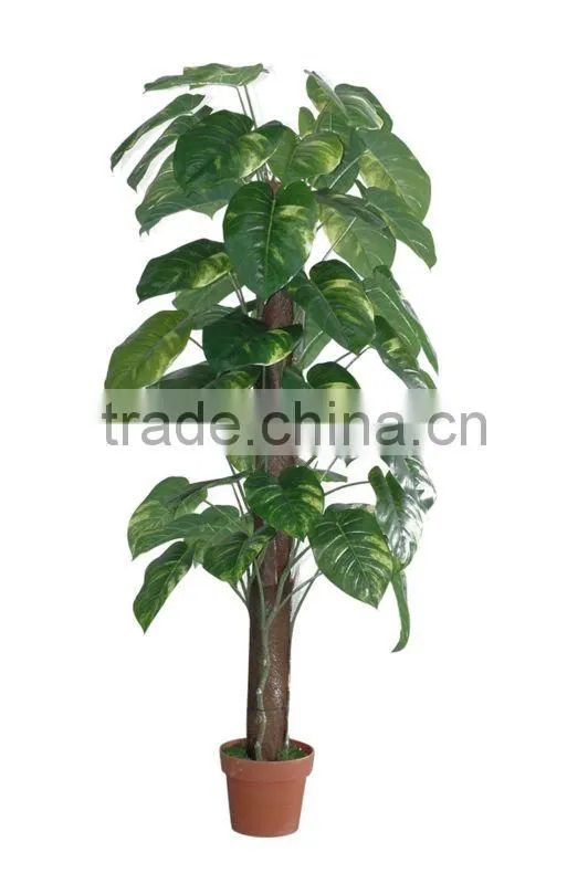 china new products,mini bonsai,artificial Scindapsus aureus