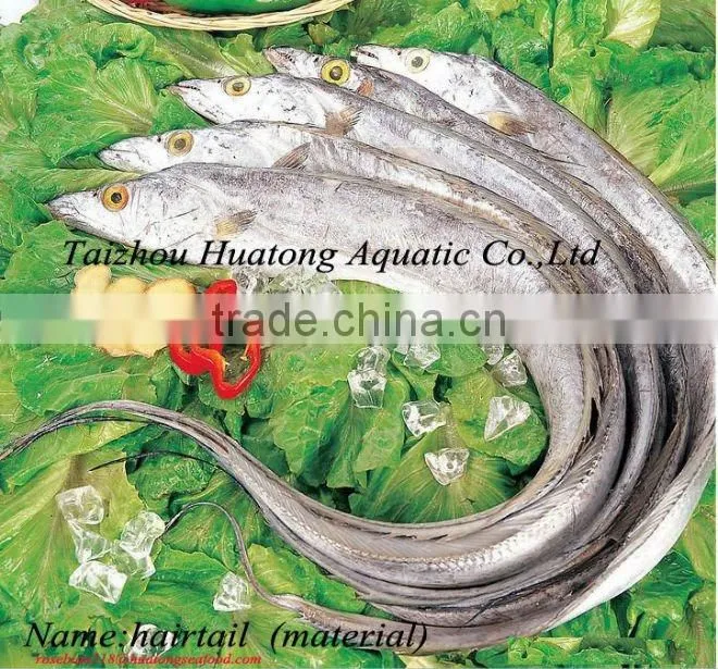 frozen ribbon fish