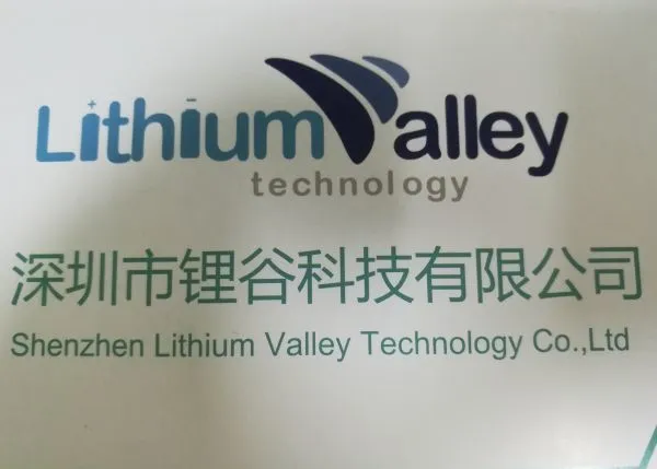 Shenzhen Lithium Valley Technology Co., Ltd company overview - view 1
