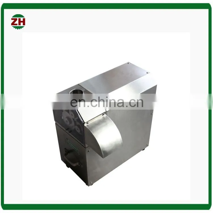 Industrial carrot vegetable juicer machine radish fruit extractor