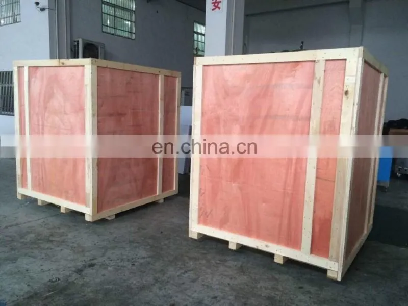 Green Walnut washing Peeling Machinery | Walnut peeler machine on sale