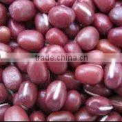 organic beans