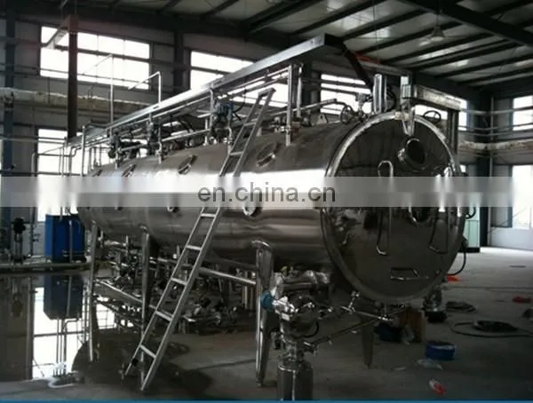 fruit and vegetable vacuum chips processing line
