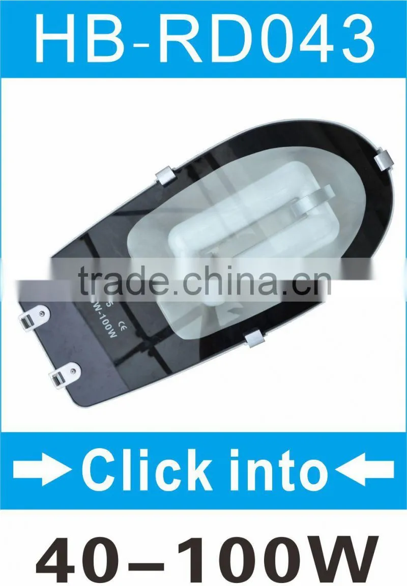 HB 40w 50w 60w 80w 100w S induction lamp 12v 24v solar lamp
