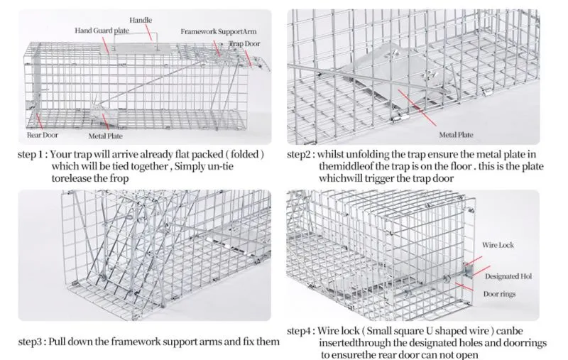 Humane Live Animal Cage Trap Kit for Humane Catch Release Rodent Small Cat, Rabbits, Squirrel, Opossum, Squire, Raccoon