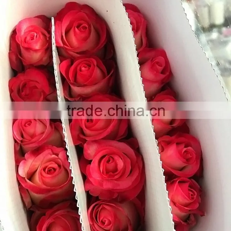 Love theme hotsell red rose fresh cut flower