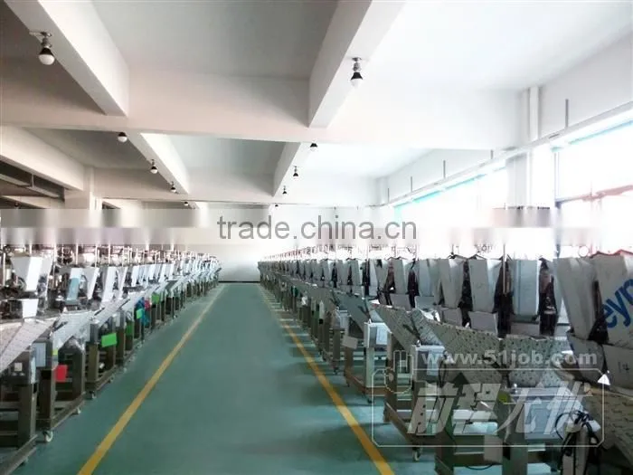 Multiweigh2015 Checking Weigher JW-C6000