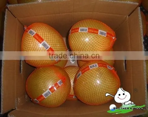 12kg carton China pomelo