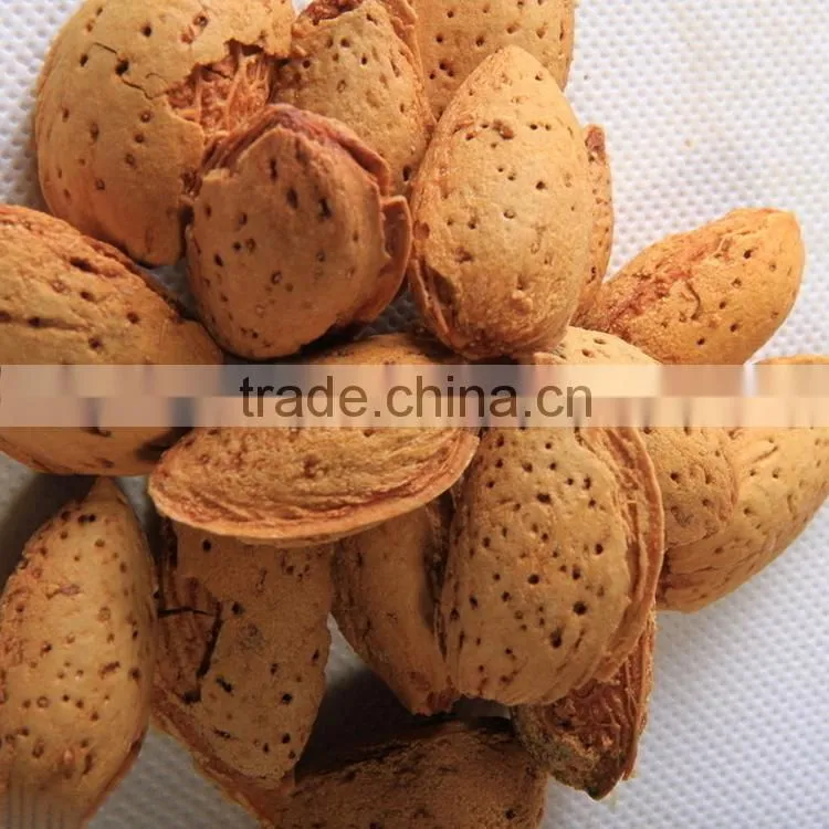almond nuts price