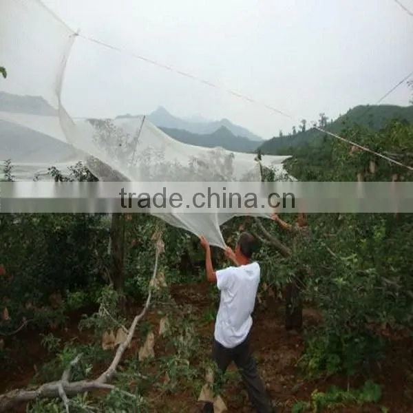 White Crystal Colour Raschel knitted polyethylene agriculture hail protection net,hail net,anti-hail net