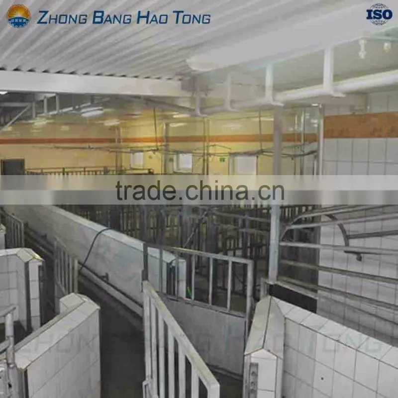 cattle ritual killing box with installed cattle catcher in cattle slaughterhouse
