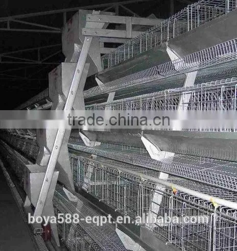 economic broiler chicken cage