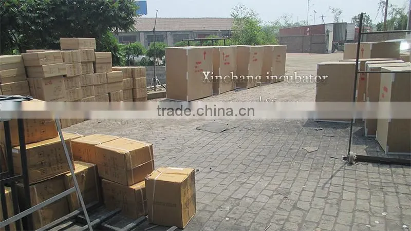 china make low price 9856 eggs poultry incubator machine for sale