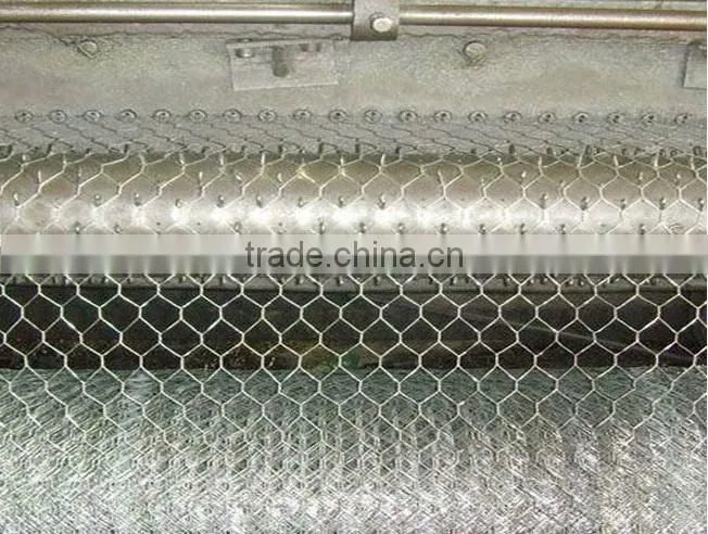 Hexagonal Wire Mesh (100%FACTORY )