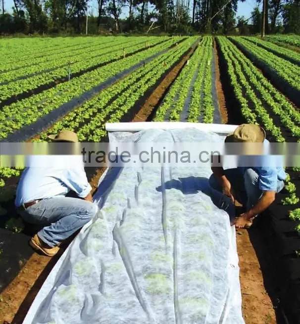 colorful polypropylenene spunbonded nonwoven fabric, spunbond pp nonwoven roll