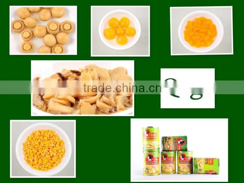 2016 New crop canned yellow peach