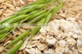 OAT QUICK COOKING FLAKES RICH IN PROTEIN