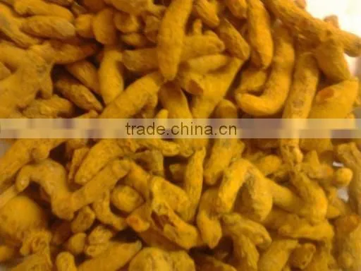 Fresh Turmeric / Dried Turmeric / Turmeric Finger