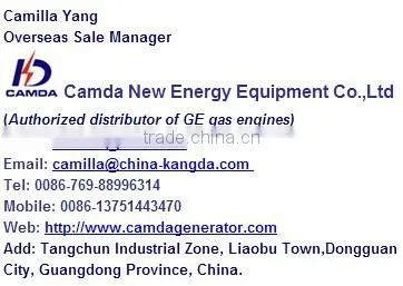 Camda control panel for generator with synchronizing control panel cabinet, generator control system