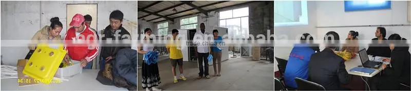 Automatic animal drinker for chicken