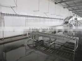 poultry slaughter machines