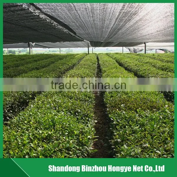HDPE green agricultural sun Shade Net