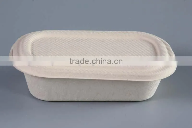 Biodegradable 1000ml sugarcane food container with separate lid