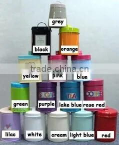 Set of 3 Flower Heart Shape Logo Canister