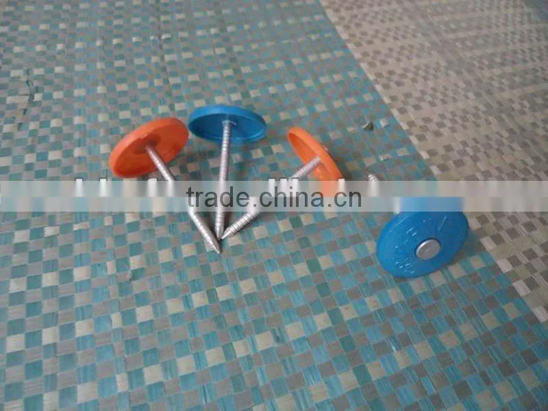 Torx Roofing Screw Nails with Plastic Caps china supplier on hot sale