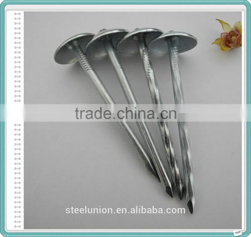 Roofing Nail/Galvanized Roofing Nail/Umbrella Head Roofing Nail