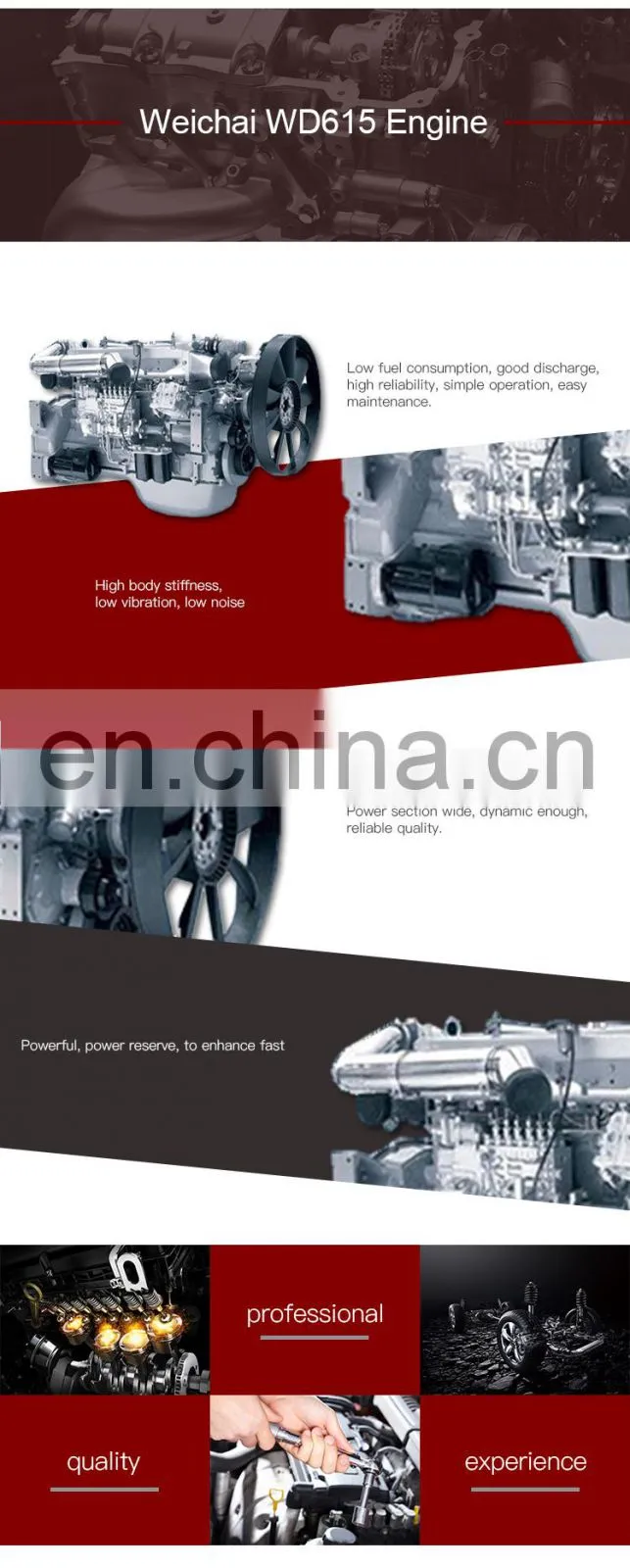 weichai wd615.46 chinese engine , Country ll Emision