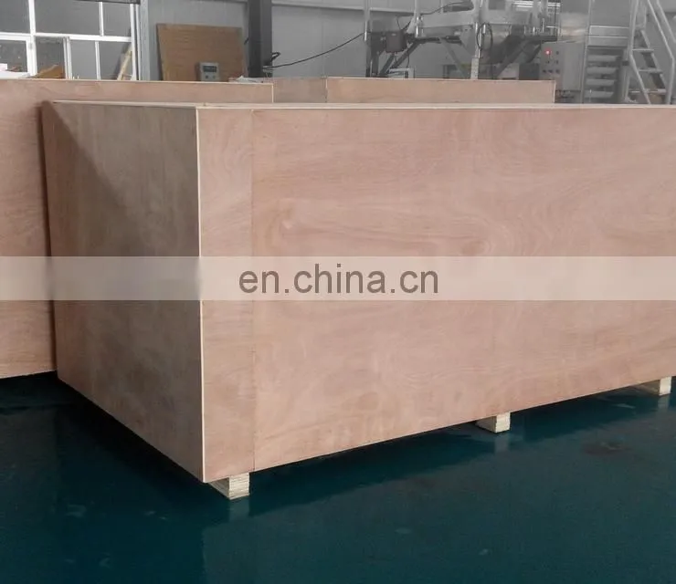 dry mango crispy fruit making machine