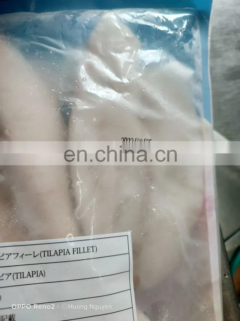Frozen Pangasius Fillet with best quality from Agenas Co.ltd