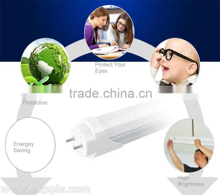 22W 2450lumen 4feet DLC japanese led light tube 24w t8 with internal driver