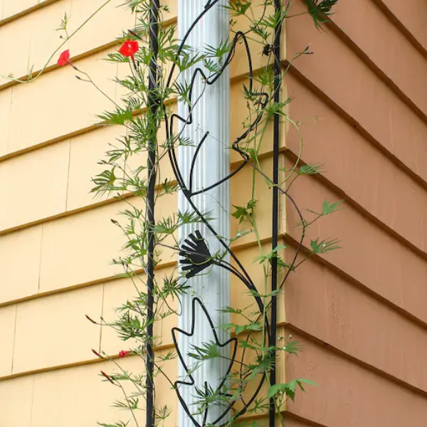 image (90).png