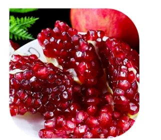 Automatic Pomegranate Juice Production Line