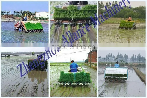 Factory price rice planting machine for sale to Ecuador, Nigeria