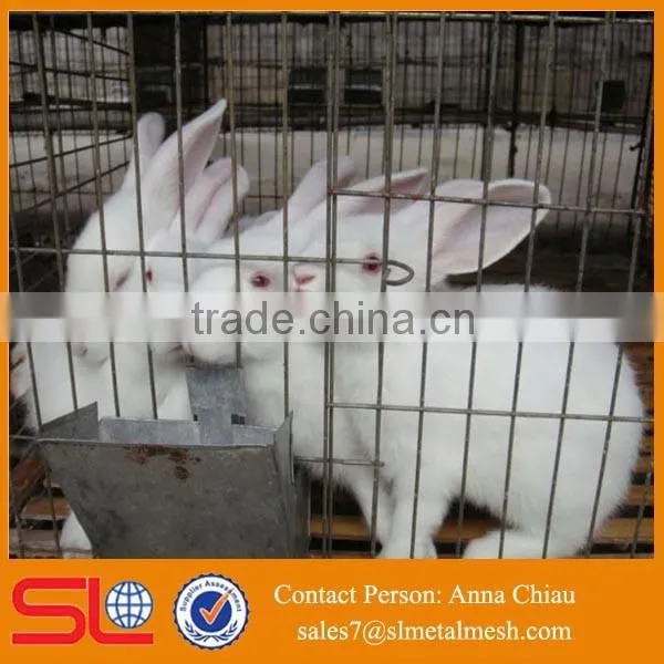 Cheap cage for growing broiler / broiler battery cage / broiler cage