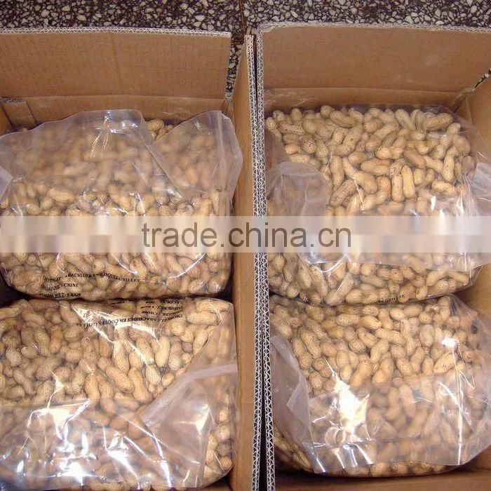 New Crop Chinese Roasted Peanuts In Shell
