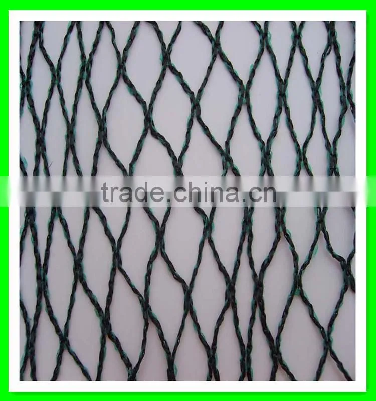 Clear anti bird hail cover net/uv resistance woven mesh net/reinforced hail guard net