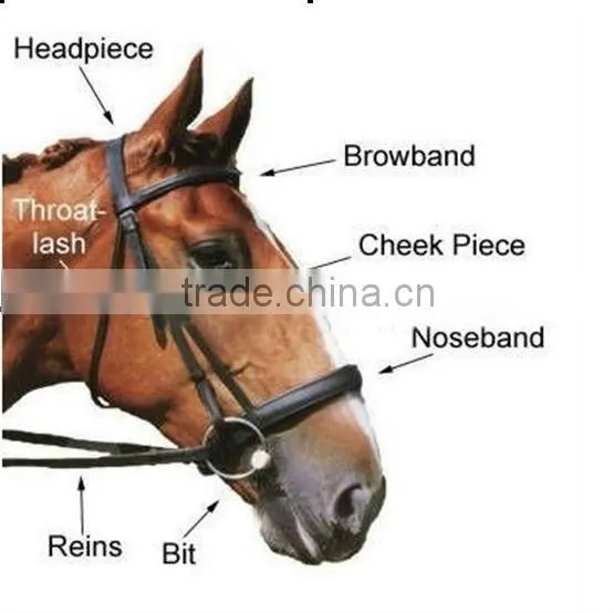 Hot selling suitable horse racing bridle