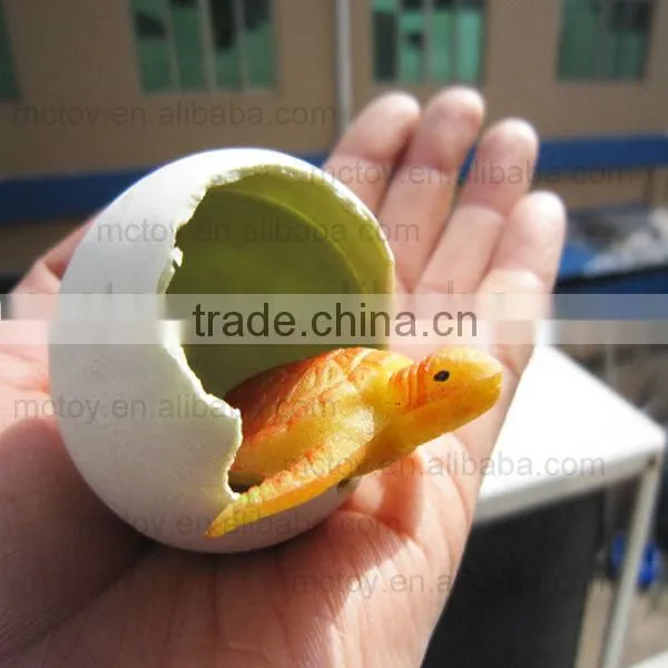 Growing Tortoise egg toys growing dinosaur egg toys