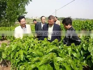 Anhui Kexin Cocoon Industry Co., Ltd. company overview - view 2