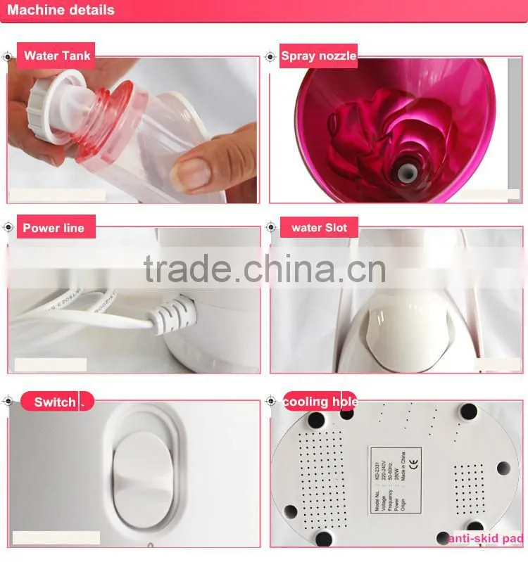 Kingdom High-Tech portable mini Skin Ion Facial Steamer