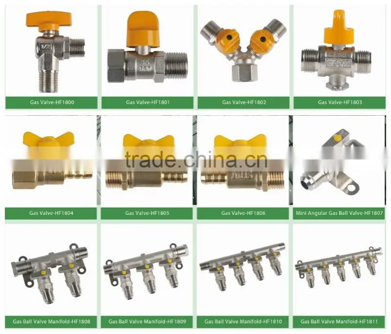 Alibaba china supply 2 Gas Ball Valves Manifolds
