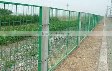 Building protecting mesh