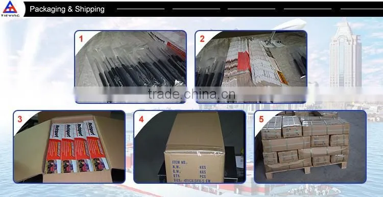 Hot Selling Seats Locking Gas Spring/Struts