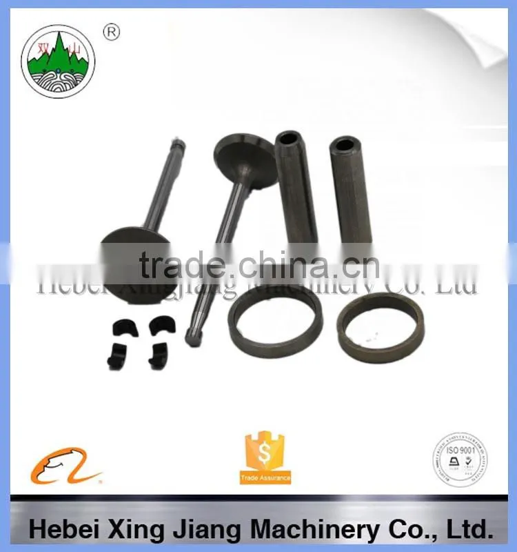 Farm tractor diesel engine parts ZS1100 valve assy
